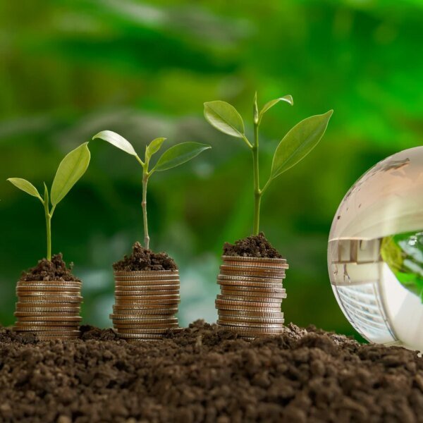American Century Focused Global Growth Fund Q2 2026 Commentary