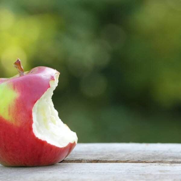 Acadia Pharmaceuticals: Another Bite At The Alzheimer’s Apple (NASDAQ:ACAD)