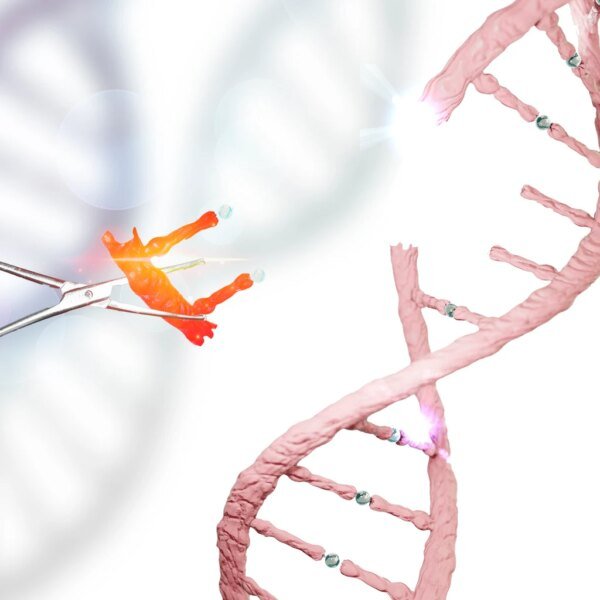 Prime Medicine: Soon In The Clinic