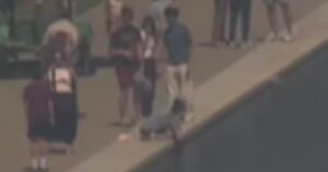 (VIDEO) Trump Posts More Footage of Reflecting Pool Vandalism After Pirro Flop: “Look for yourselves at the VANDALISM” – Burgum Also Slams US Attorney