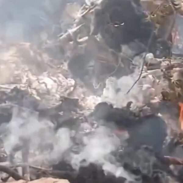 Seven People, Including Five Americans and a Telemundo Executive, Die in Helicopter…