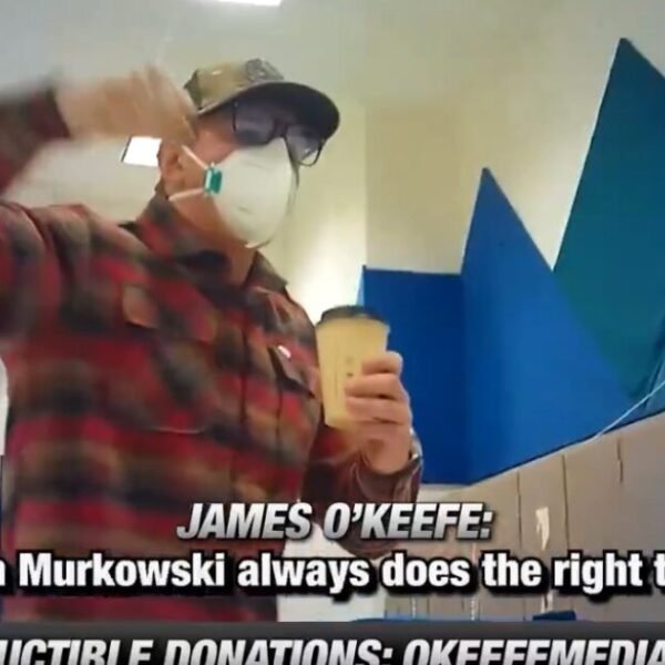 BREAKING: WATCH: James O’Keefe Offered Senator Lisa Murkowski’s Brother’s Ballot at Anchorage…