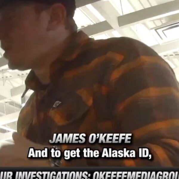 BREAKING: James O’Keefe Drops Undercover Video of DMV Workers Contradicting Murkowski’s SAVE…