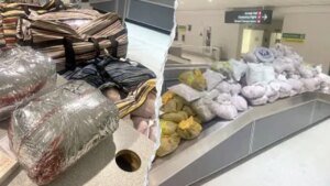 Khat seizure of 847 kilos at Baltimore airport tied to 2 vacationers