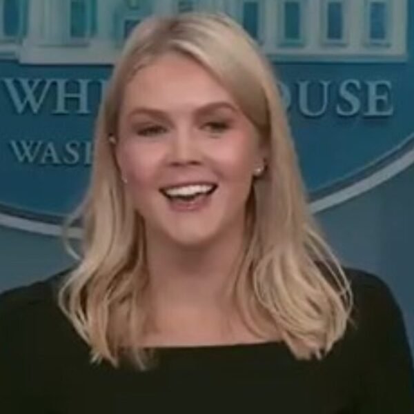 Karoline Leavitt Reveals What Her New Job Will Be After Leaving the…