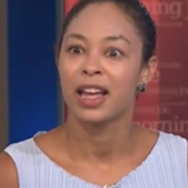 MSNOW Contributor Downplays DSA Radicalism, Suggests ‘Medicare for All’ is Popular (VIDEO)&hellip;