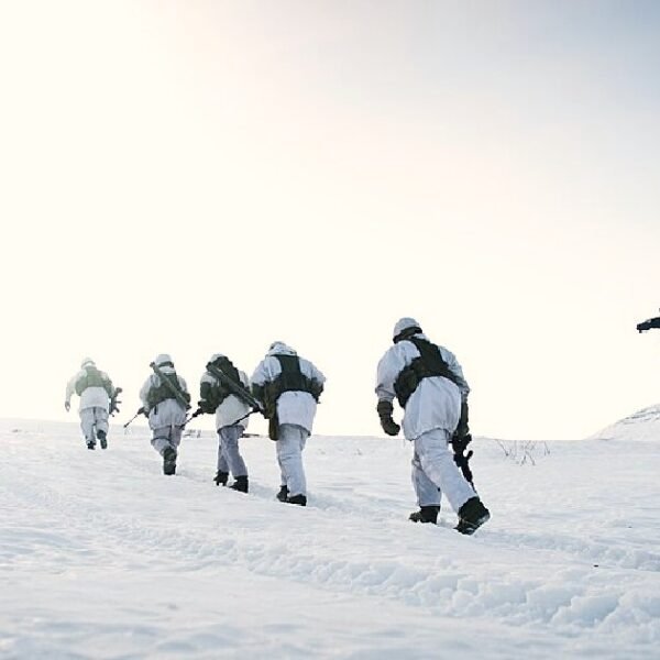 As Europe Becomes Increasingly Militarized, Norway Expands New Arctic Brigade, Strengthening NATO’s…