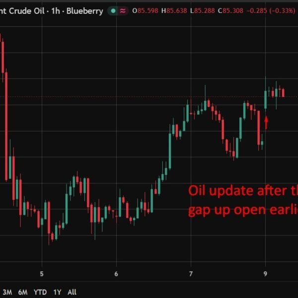 Citi lifts Q3 Brent forecast to 80 {dollars} as Iran struggle drags…
