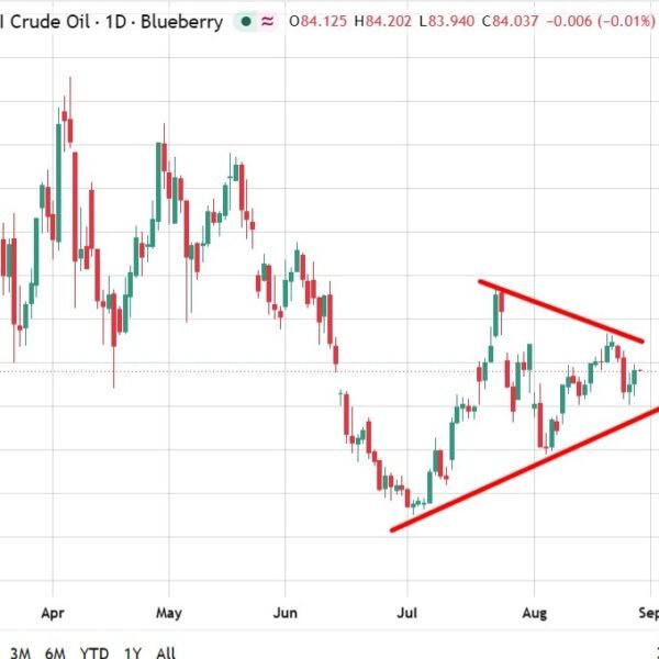 Vexit? Venezuela weighs OPEC exit as US ties deepen, Bloomberg studies