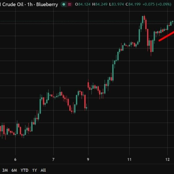 investingLive Asia-Pacific Financial Market information: Oil edges increased