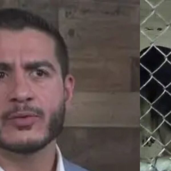 Far-Left Democrat Candidate Abdul El-Sayed Oversaw ‘Slaughterhouse’ that Killed Thousands of Dogs&hellip;