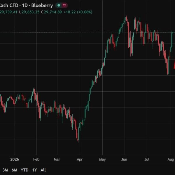 Situational Awareness backers included Silicon Valley elite earlier than AI bets soured