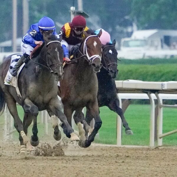 Whitney Day Saratoga Race Course finest bets for all 4 Grade 1&hellip;