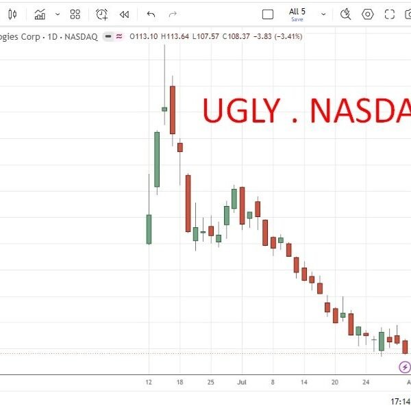 Retail bagholder slaughter – SpaceX shares fall over 50% from peak. Musk…