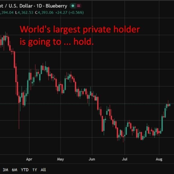 World’s greatest personal gold holder Tether provides customers weeks to exit vault