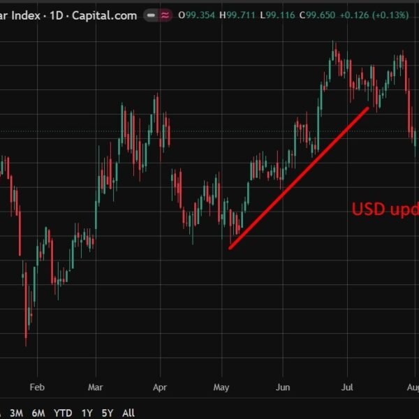 HSBC: greenback set to grind increased on fee differentials, resilient financial system