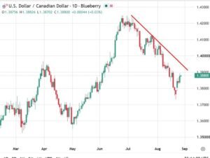 ING says Canadian greenback has additional to fall on tariff chaos