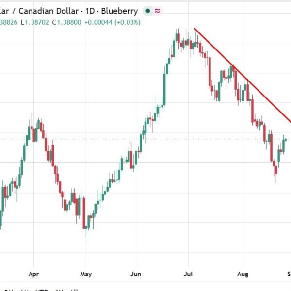 ING says Canadian greenback has additional to fall on tariff chaos