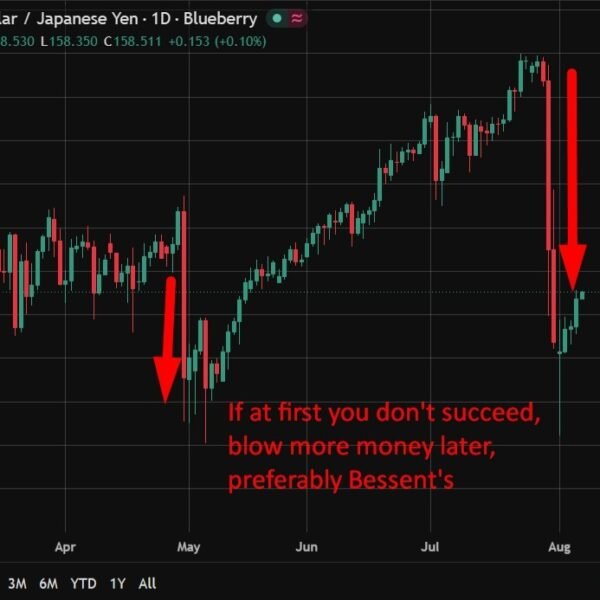 Yen intervention knowledge reveals scale of Japan’s battle towards 40-year lows