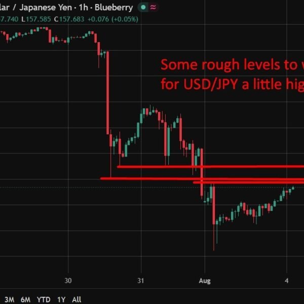 Japan’s Kiuchi declines to call FX degree, watching impression carefully