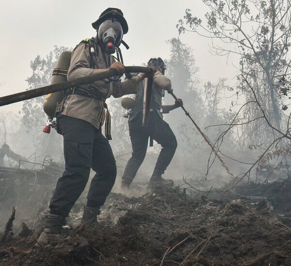 U.N. Says World Will Miss Its 1.5 Degree Climate Target