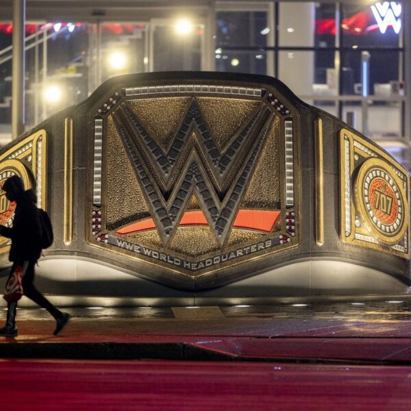 WWE star discloses what they had been doing earlier than look on…