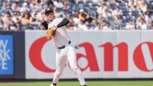Yankees activate 3B Ryan McMahon, add RHP John Schreiber