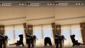 “Spideykook confirmed”: Netizens reward BTS’ Jungkook for posting an Instagram story about studying animal stream