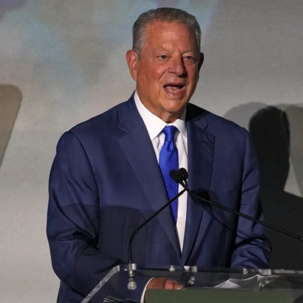 Al Gore says the actual AI threat is not knowledge facilities —…