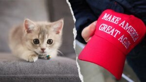 NYC kitten rescue bans MAGA adopters, and PETA requires coverage to finish