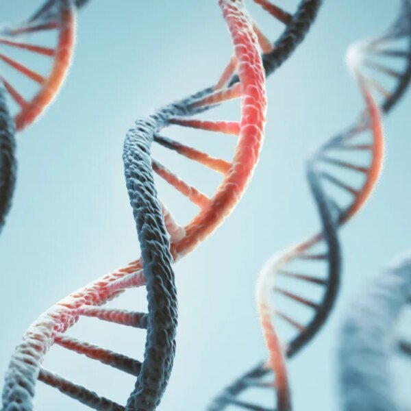 Anthropic is working a lab that conducts biology experiments