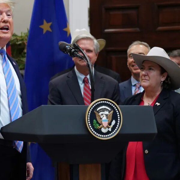 DOJ expands beef value probe to Walmart and Amazon with inflation as&hellip;