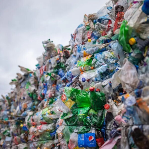 Meta deal will assist plastics recycling startup MacroCycle construct its first manufacturing&hellip;