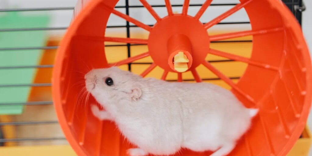 The US financial system is caught on a hamster wheel as GDP should outrun borrowing prices—or danger a debt spiral
