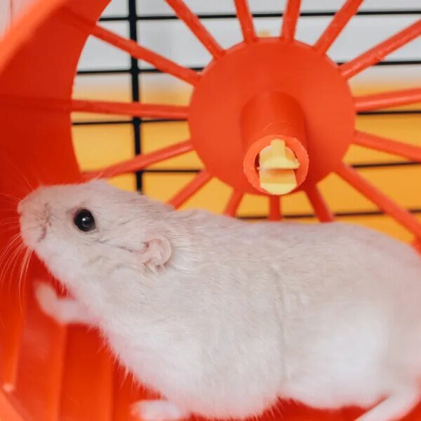 The US financial system is caught on a hamster wheel as GDP…