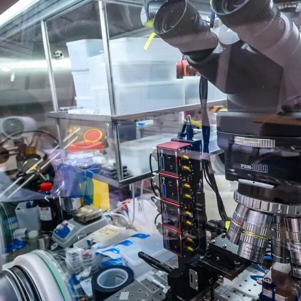 America’s scientists are wanting overseas. Can European enterprise money in?