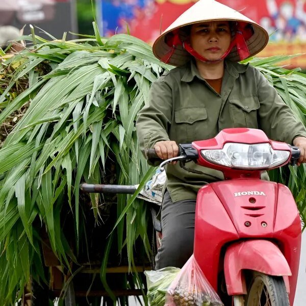 Vietnam is lastly a FTSE rising market—but it’s the nation’s banks, not&hellip;