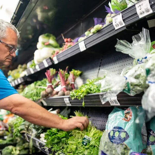Cyclospora outbreaks expose decades-old U.S. meals security issues that DOGE cuts are…