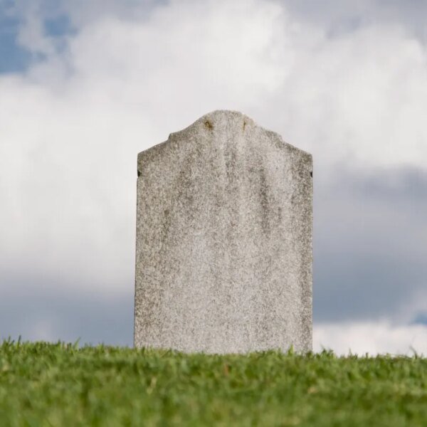 The AI graveyard: a operating record of initiatives and startups that did…