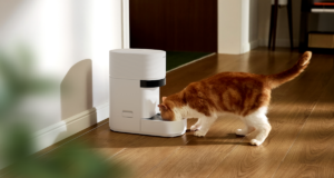 Petlibro’s new AI-powered feeder is a recreation changer for multi-cat houses
