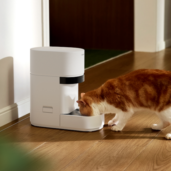 Petlibro’s new AI-powered feeder is a recreation changer for multi-cat houses