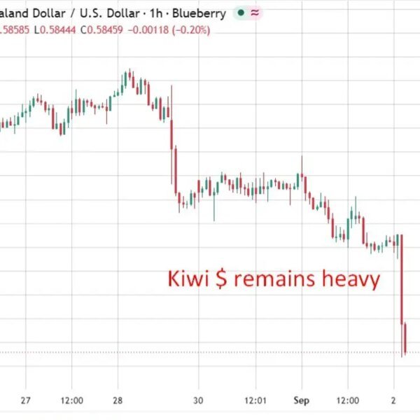 RBNZ chief says price settings nonetheless accommodative regardless of hikes