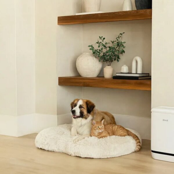 Levoit’s new air air purifier is for the pet odors which have&hellip;