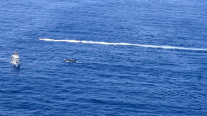 At least 40 rescued after machete assault aboard boat close to Puerto Rico