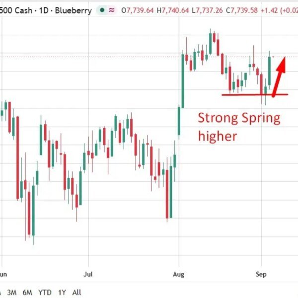 Catch-up: Waller despatched shares rocketing greater within the US