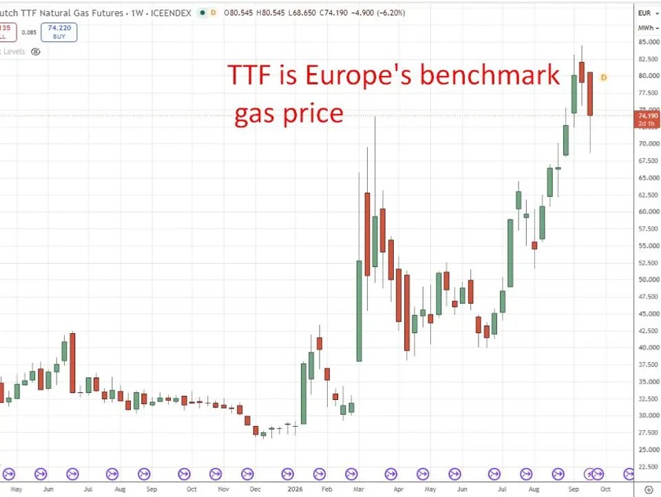 Russia trims gasoline output and LNG export forecasts as EU nears finish of Russian gasoline purchases