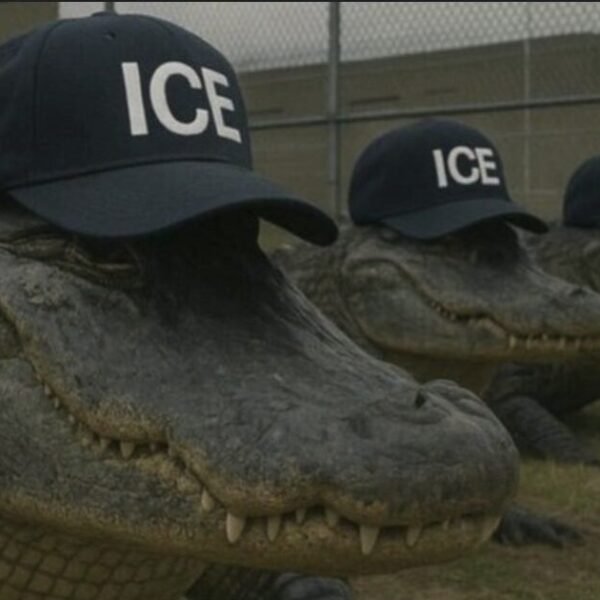 DHS Pleads with Far-Left Public Officials to Tone Down Anti-ICE Rhetoric Amid…