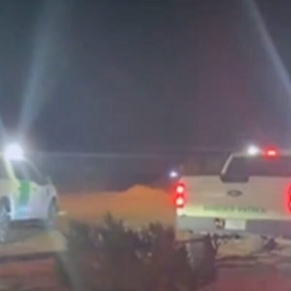 BEYOND PARODY: Far Left MSNOW Crew Gets Stuck within the Desert in…