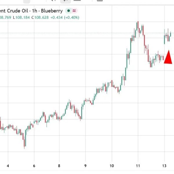 investingLive Asia-Pacific market information: Oil holds hole greater