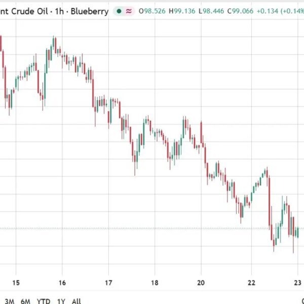 Oil eases as Witkoff says oblique US-Iran talks at UN full a…